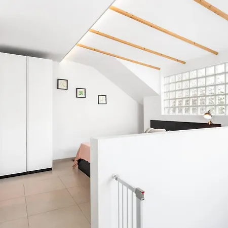 Modern Hibisco *