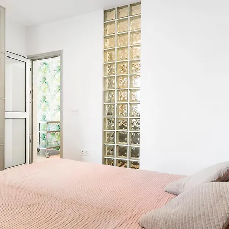Modern Hibisco Apartment